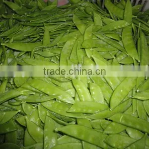 Chinese Snow Fresh Peas thumbnail-1