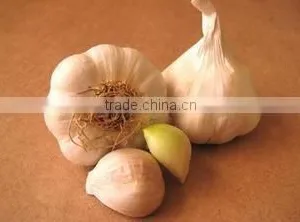 Cheap Wholesale Natural White Fresh Garlic With Mesh Bag thumbnail-2