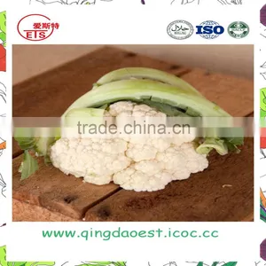 Hot Sale Fresh Cauliflower With High Quality Floret Dia:40-60mm thumbnail-1