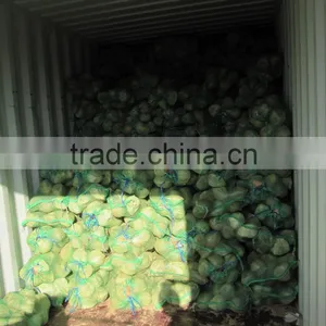 Semi Husked Coconut, Best Quality, Cheap Price thumbnail-4