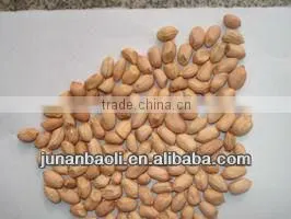 China Groundnut Kernel thumbnail-1