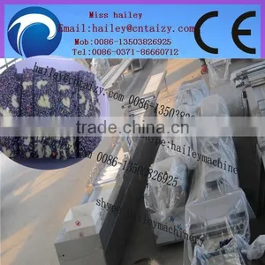 Professional and Multifunctional Peanut Brittle Making Machine thumbnail-5