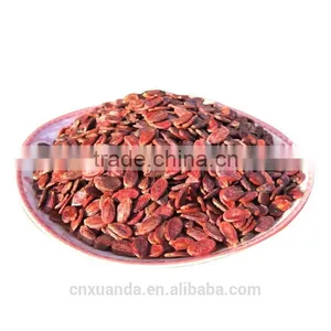 New Crop Natural Red Melon Seed Big Size With Good Price thumbnail-2