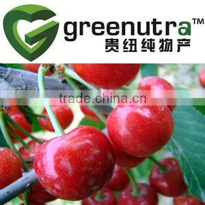 Acerola Fruit Extract thumbnail-1