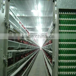H-type Multi - Tier Hot Galvanized Chicken Coop Device thumbnail-1