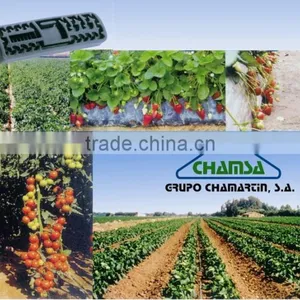 Flat Drip Irrigation thumbnail-4