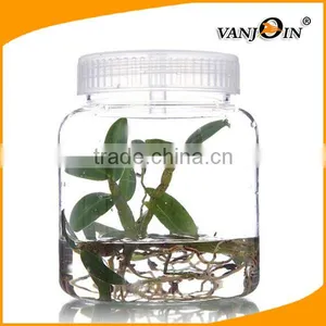 Empty Pet Plastic Plant Culture Bottle With Hole Caps thumbnail-1