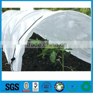 High Quality Agriculture pp Nonwoven/agriculture pp Nonwoven China Market thumbnail-4