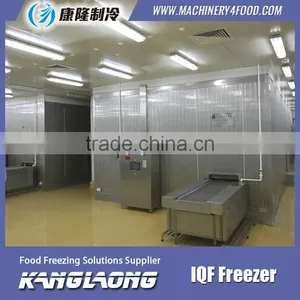 Large Output Blast Chiller Food Made In China thumbnail-1