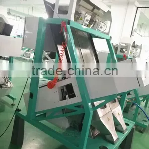 Intelligent Color Camera CCD 2 Chutes Garlic Color Sorter /color Sorting Machine thumbnail-4