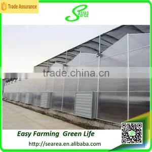 Commercial Greenhouse Glass for Sale thumbnail-1