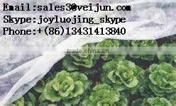 Spunbonded Nonwoven for Greenhouse Fabric Cover thumbnail-1