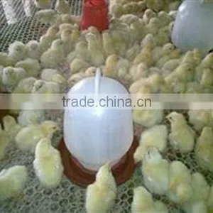 HDPE Poultry Plastic Flat Netting for Broiler Feeding, Duck/ Plastic Plain Net thumbnail-1