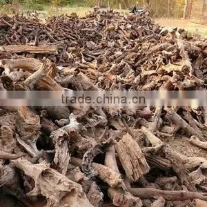 Driftwood Aquarium Decoration thumbnail-3