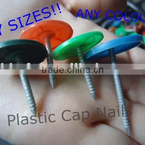 2016 Year Hot Sale!!Plastic Cap Nails China Supplier on Sale thumbnail-1