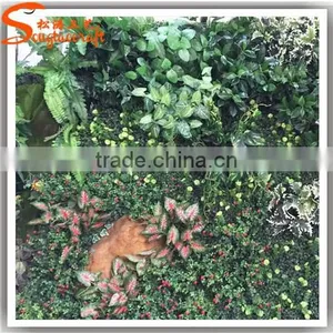 Latest Design Plastic Vertical Garden Green Wall System thumbnail-4