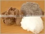 Cashmere Fibre thumbnail-1