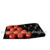 PP Tray For Tomato thumbnail-1