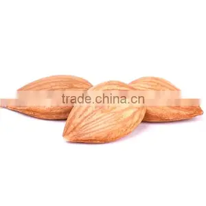 Organic Bitter Apricot Kernels thumbnail-1
