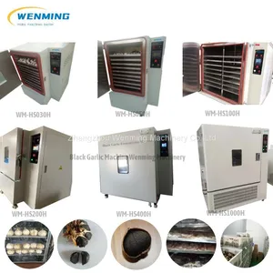 100KG Black Garlic Making Machine Industrial Black Garlic Fermentation Machine Black Garlic Fermenting Machine Garlic Fermenter Machine With Humidity Controller thumbnail-2
