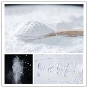 Virginal PVDF Micropowder thumbnail-2