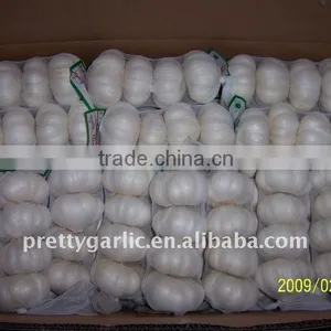 Chinese Fresh Garlic 2014 Crop thumbnail-1