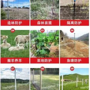 Wire Mesh for Grassland Wire Mesh Fence thumbnail-3