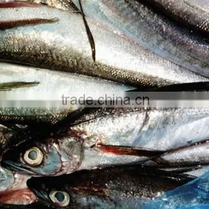 WR Frozen Hake thumbnail-3