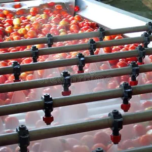 Big Capacity Hot Selling Tomato Sauce Production Line Tomato Sauce Processing Machinery thumbnail-5