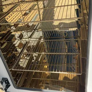 Hot Air Circulating Industrial Oven High Temperature Cabinet Drying & Curing Oven thumbnail-4