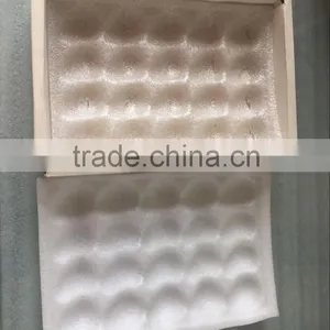 Disposable Plastic Fruit Strawberry Packaging Tray thumbnail-1