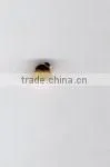 Gold Beads thumbnail-1
