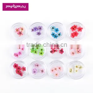 2016 12 Colors Dried Dry Flower UV Gel Acrylic False Tips Nail Art Decoration Real Flower thumbnail-1