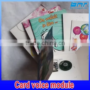 Custom Voice Music Chips Sound Modules Voice Recorder For Greeting Cards And Toys thumbnail-1