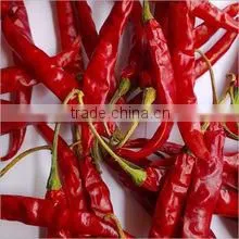 Indian Red Chilly thumbnail-1