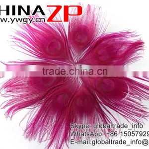 No.1 Supplier ZPDECOR Wholesale Selected Prime Quality Dyed Hot Pink Trimmed Short Peacock Feathers for Decoration thumbnail-2