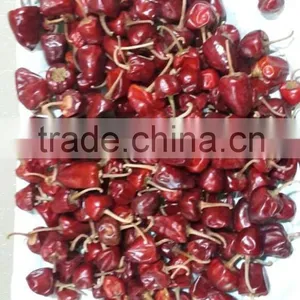 Round Red Chilles From Ramnad thumbnail-1
