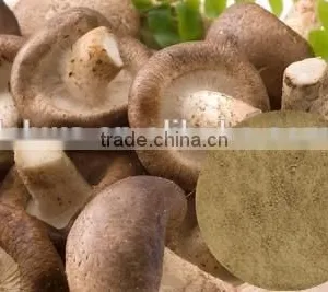 High Quality Anti Cancer Active Hexose Correlated Compound Shiitake Mushroom Extract thumbnail-1