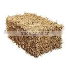 Animal Filler Straw Hay, Dry Hay Bale, Wheat Straw Hay, Hay Straw Bale, Wheat Hay thumbnail-1