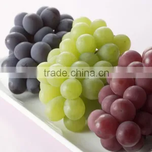 High Quality Newest Big Black Red Grape Seeds for Planting thumbnail-5