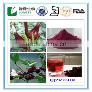 Good Flavour Hibiscus Flower / Hibiscus Sabdariffa Extract 5:110:1,20:1and Spray-dried Powders thumbnail-1