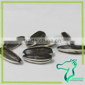Striped Bulk Raw White Sunflower Seeds thumbnail-1