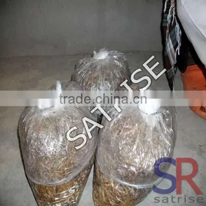 2016 High Quality Polyethylene Transparent Plastic Shiitake Mushroom Grow Bag thumbnail-4