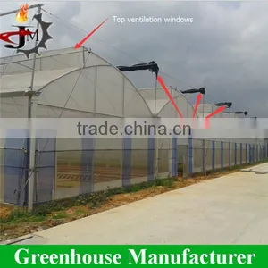 Gold Quality uv Resistant Large Polytunnel Plastic Greenhouse thumbnail-1