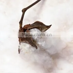 Hot Sale Cotton Fiber Opening Machine|Electric Fiber Teasing and Carding Machine thumbnail-4