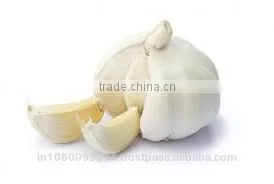 Garlic Oil thumbnail-1