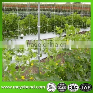 High Quality Climbing Plant Support Net thumbnail-3