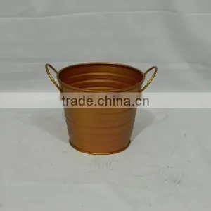 Iron Planter thumbnail-1