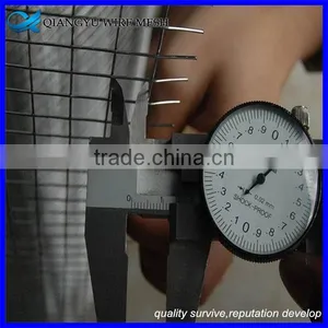 Welded Wire Mesh 6" x 6"/ Pvc Coating Welded Wire Mesh Fence / pe Coating thumbnail-5