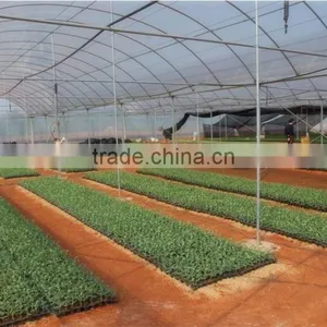 Good Daylighting Glasshouse Big Shed,greenhouse for Agriculture,frp Hothouses From Suppliers thumbnail-6